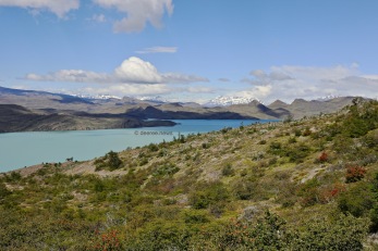 Torres del Paine NP, Patagonia, Chile / October 31st 2019